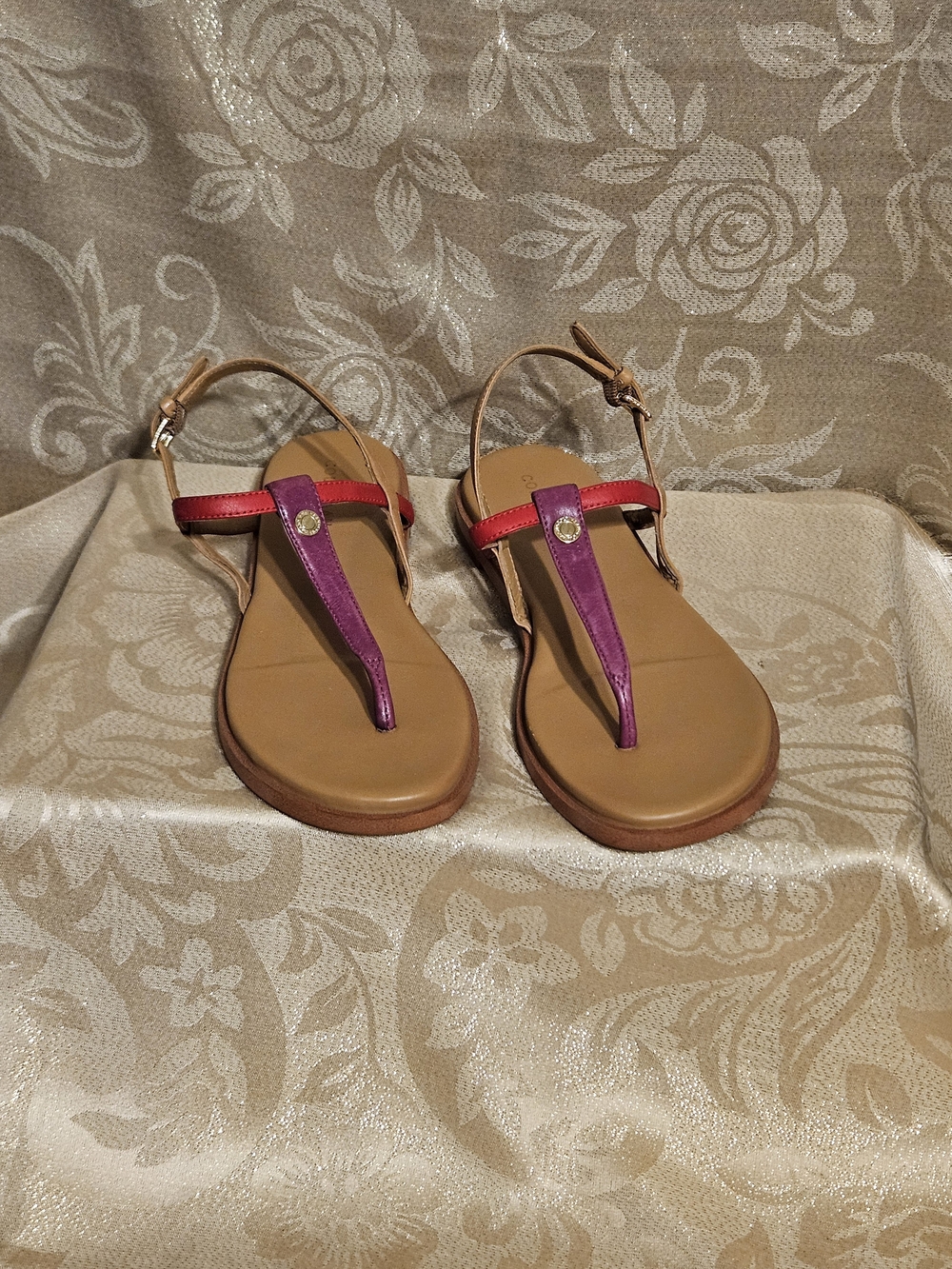 Cole Haan Bridget Colorblock Leather Thong Sandal
